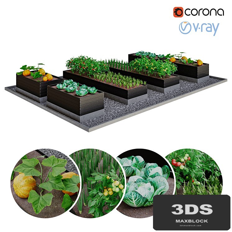 Kitchen garden | kitchen garden