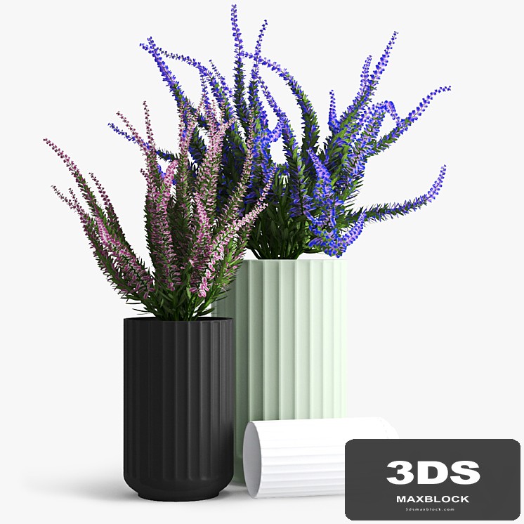 Lyngby_porcelain