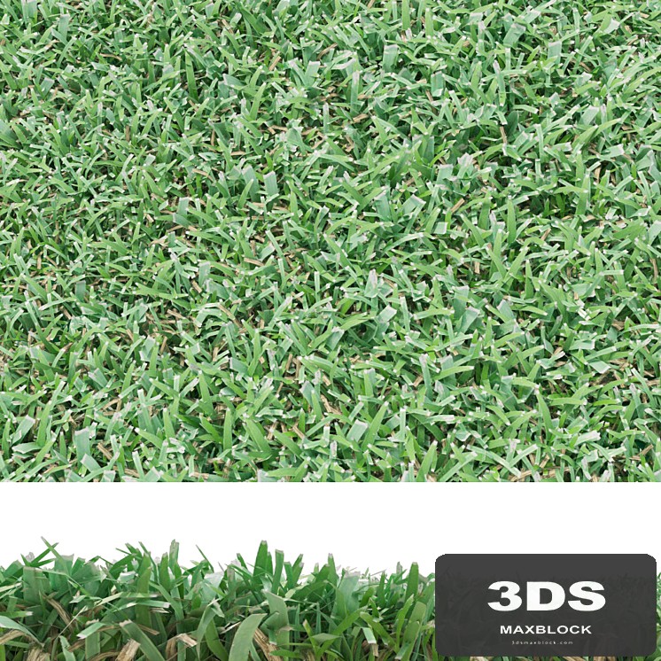 lawn