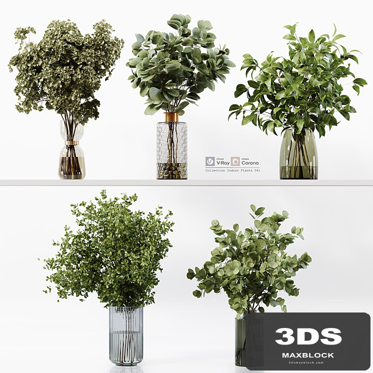 Collection Indoor Plants 041
