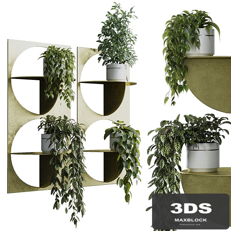 wall plant - set Indoor plant 365 plants in on a shelf