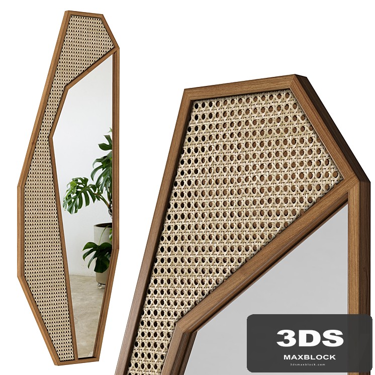 Mirror Rattan Cactus / Cactus