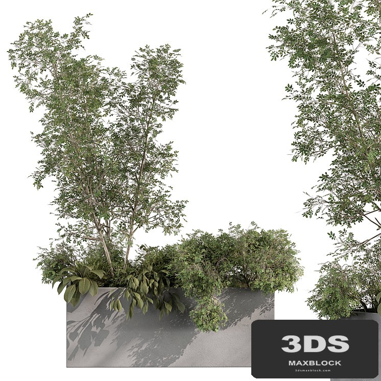 Plant Box - Outdoor Plants 517