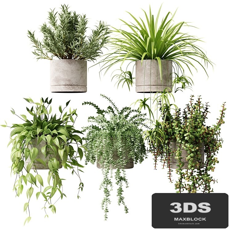 Potted plants on the shelf