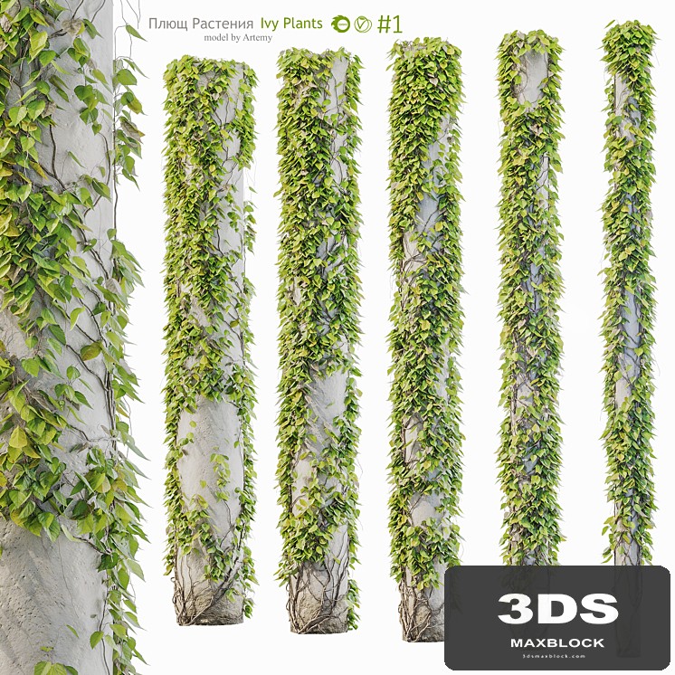 #1 / Leaves for columns, trees / Ivy / Plant set