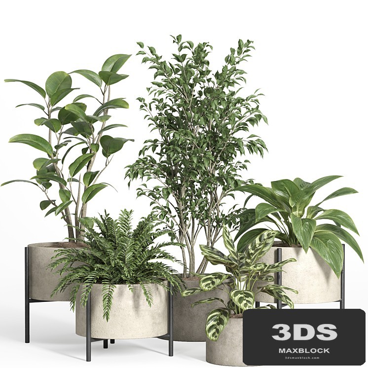 indoor plant set 52-concrete and metal pot