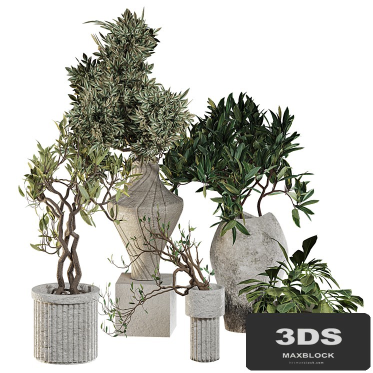 Plants in ceramic pots