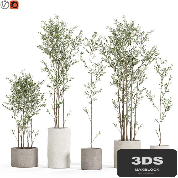 Plants collection 949