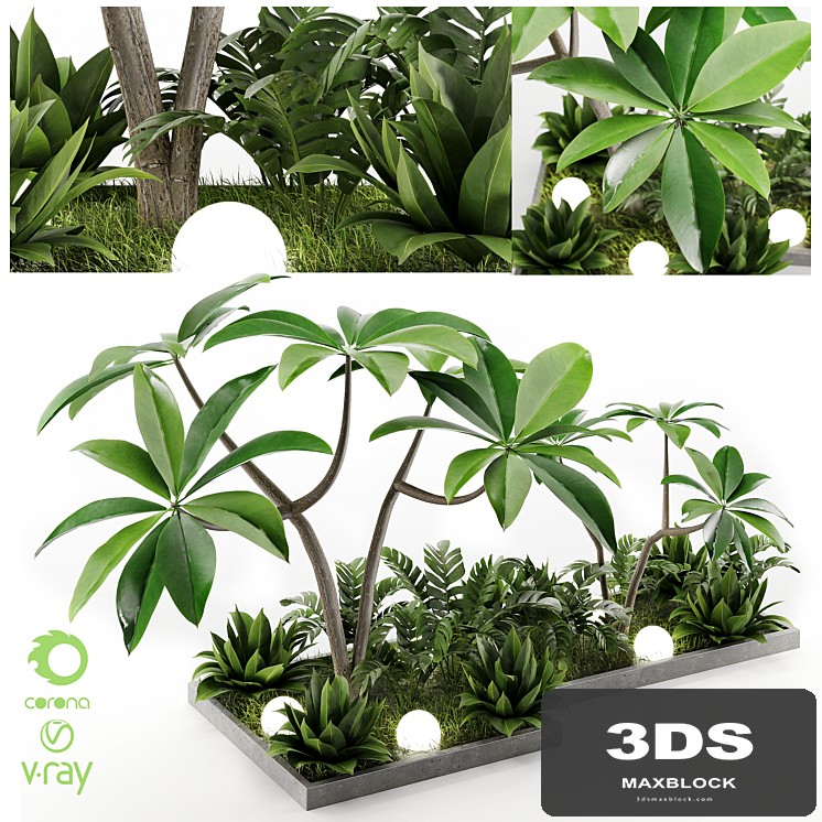 Outdoor Plant Vol1 04