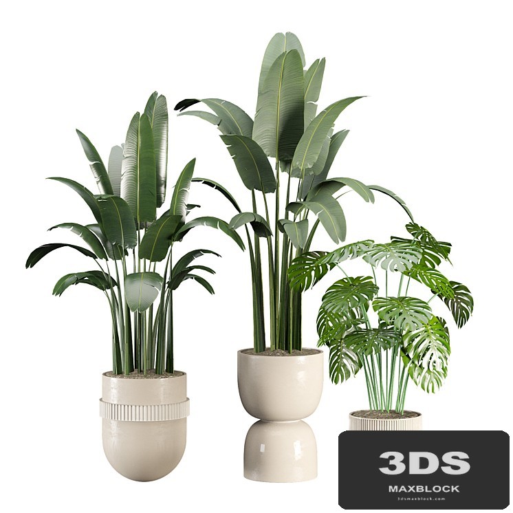 indoor-plant-set