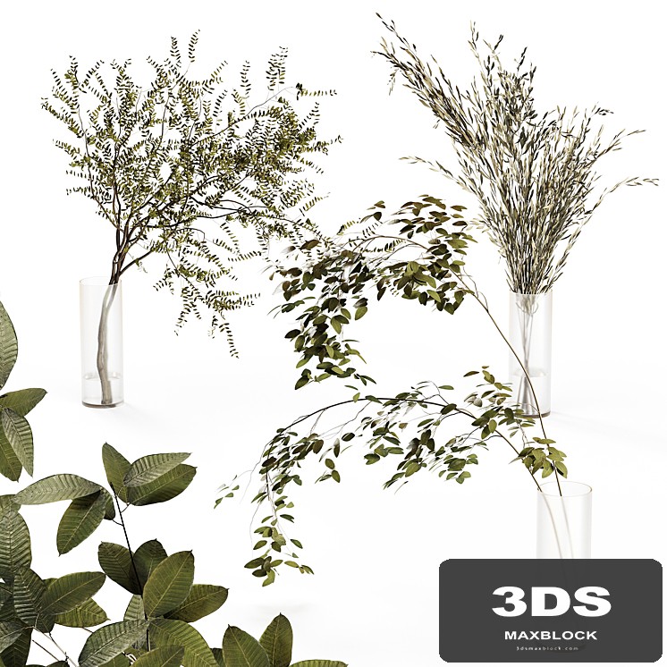 Branches in a vase