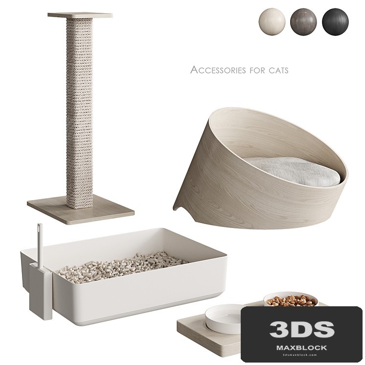 Accessories for cats NG1