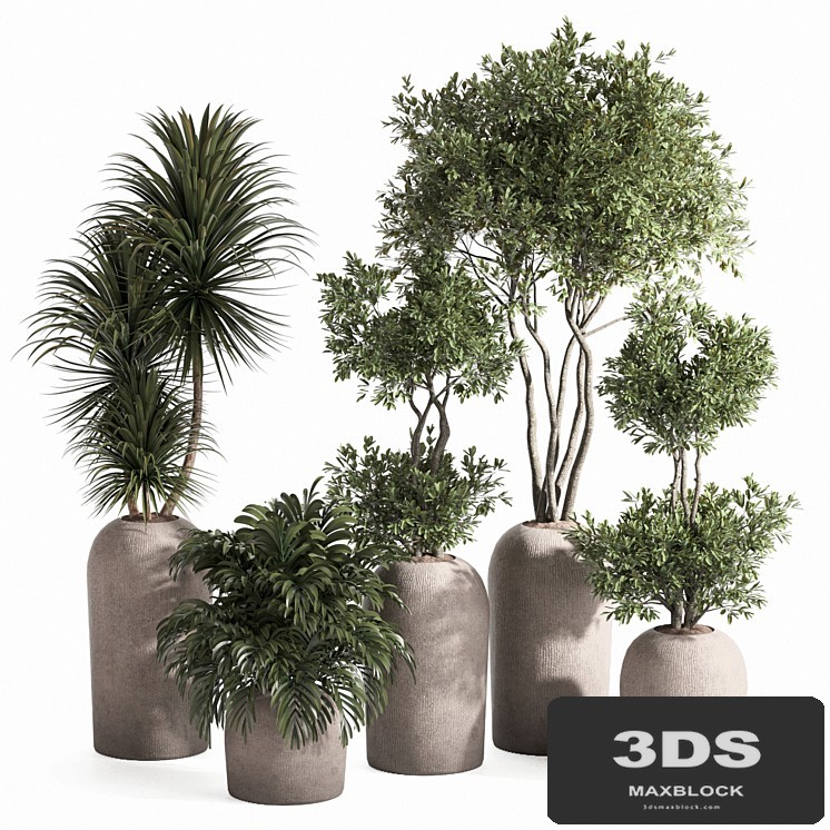 indoor plant set