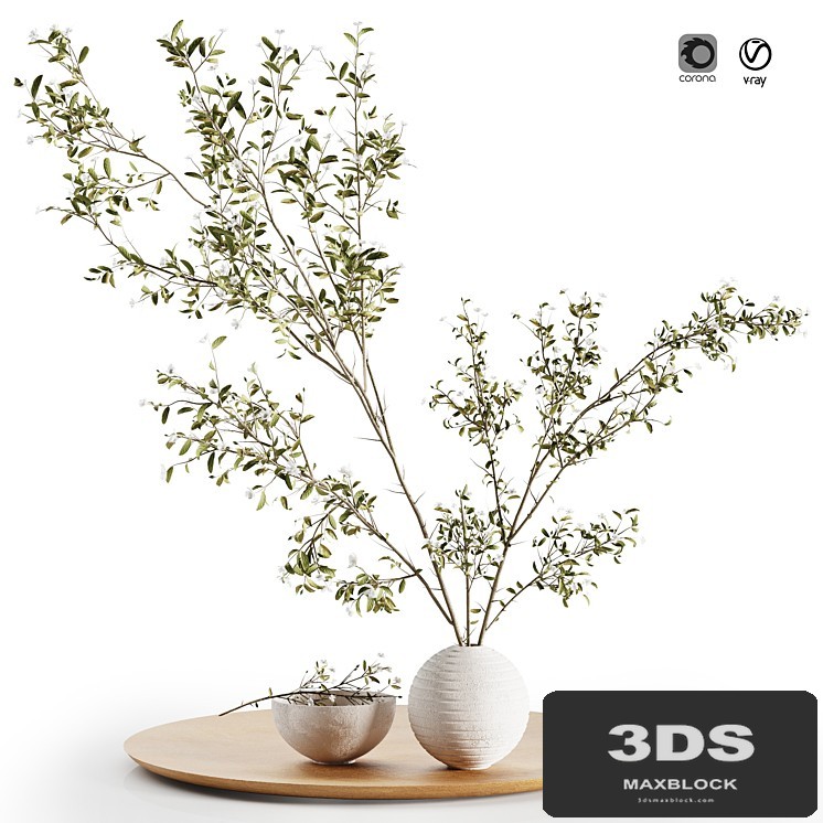 Pulm Branch in White Vase Set3