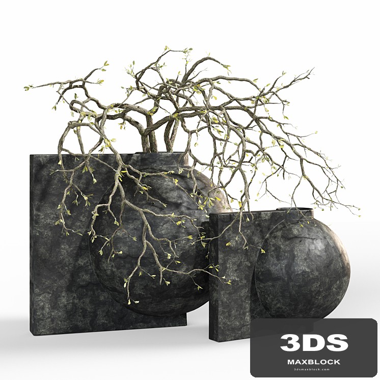 Branch in a stone vase