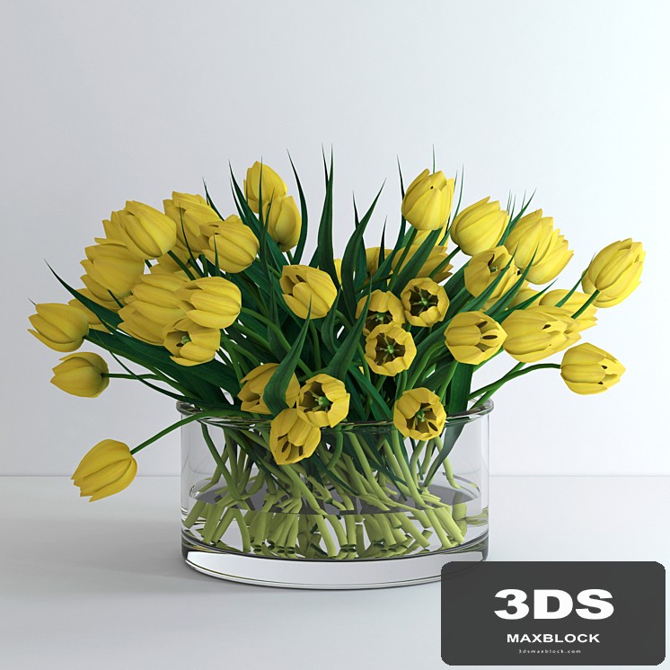 Yellow tulips / Yellow tulips