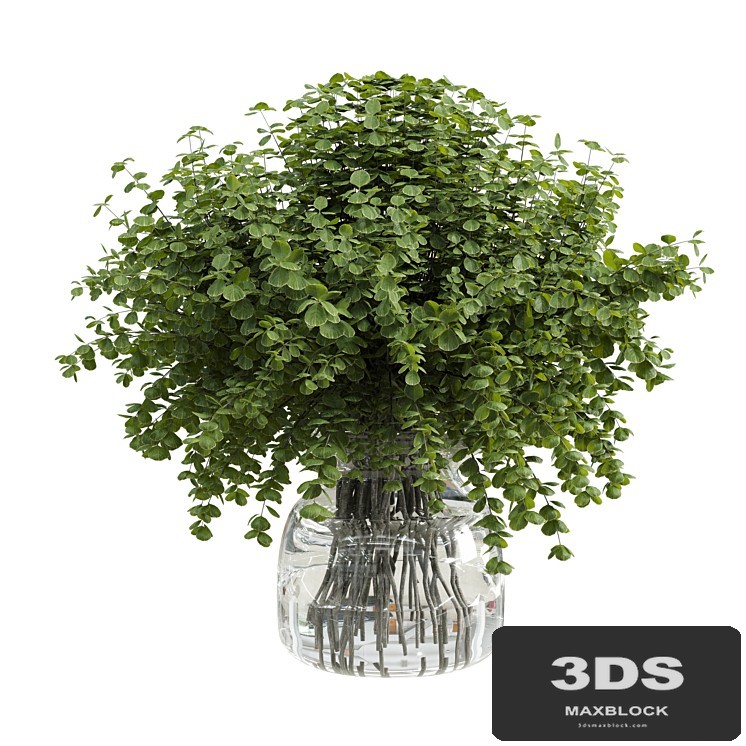 Branches plant with galss vase white - bouquet 36
