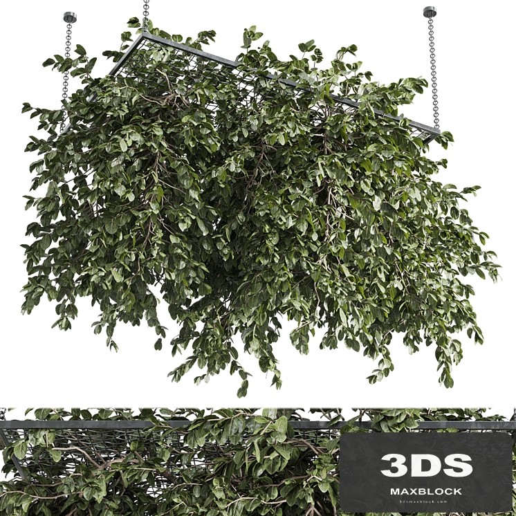 Hanging plants - outdoor plant set 171