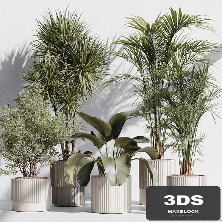 indoor plant set 72