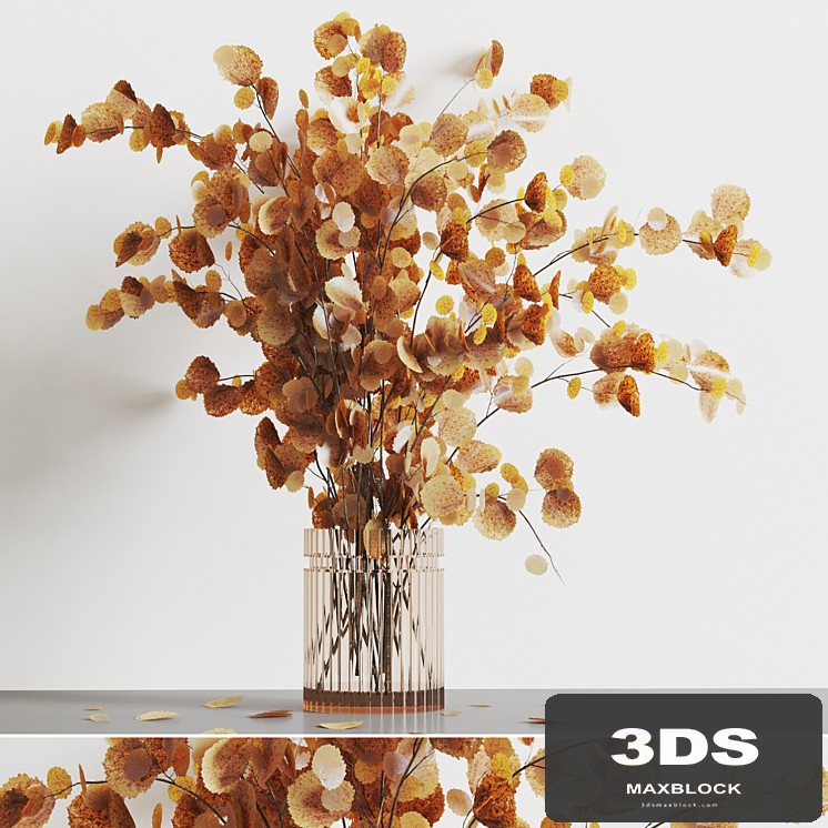 decorative plants003