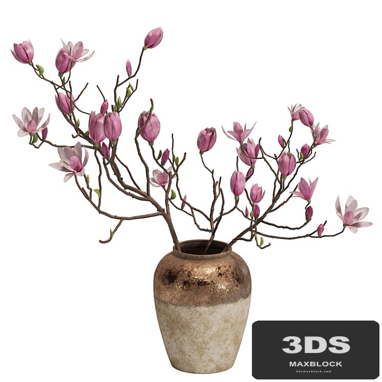 Magnolia Shrubs In Clay Vase 04