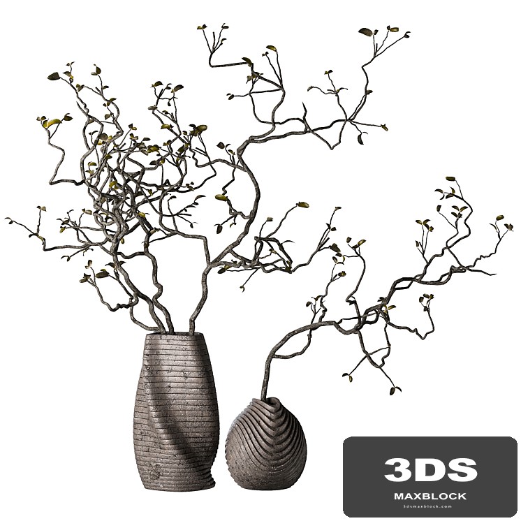 Dry branches with leaves in decorative vases
