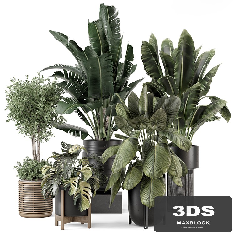 Indoor Plants in Ferm Living Bau Pot Large - Set 1665