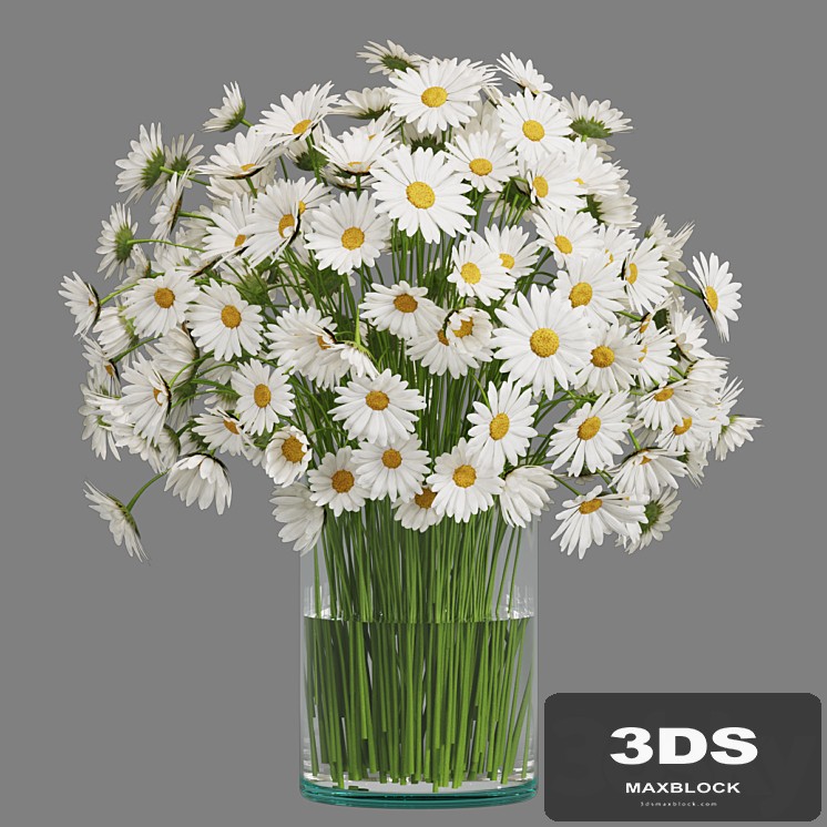 Flower in Glass Vase 05