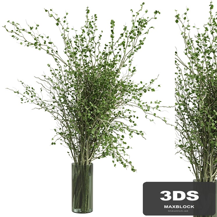 Branches plant with galss vase green - bouquet 40