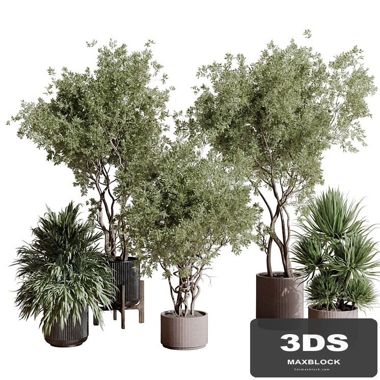 indoor plant set 408 plant tree palm bush concrete dirt vase vray