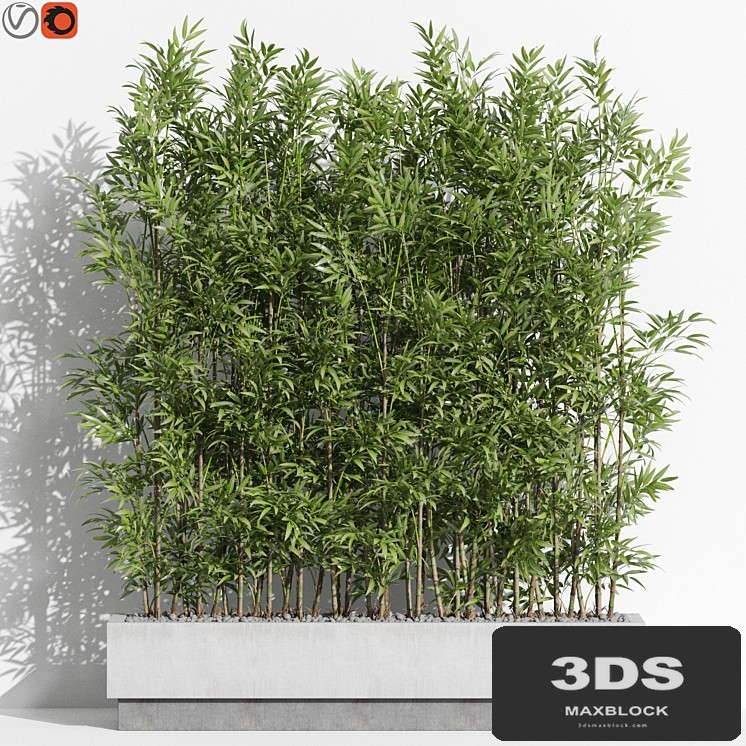 Plants collection 999