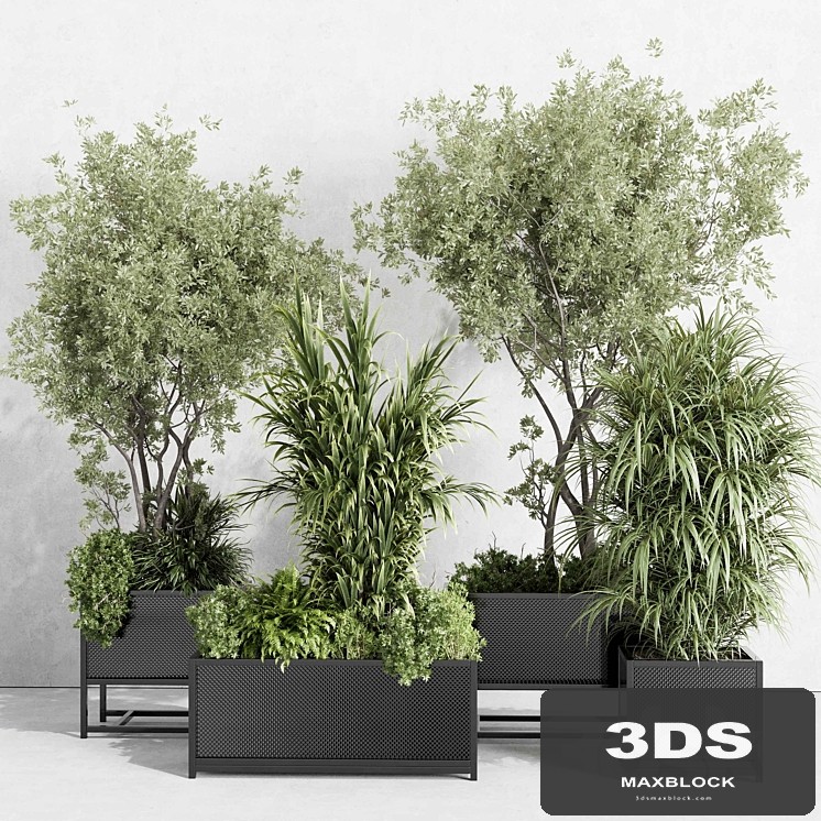 metal box plants on stand - set indoor plant 425