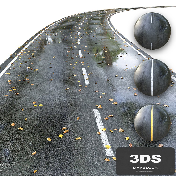 Wet road with markings. Autumn