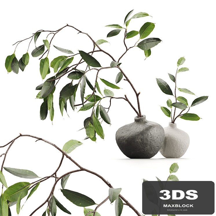 Branches in vases