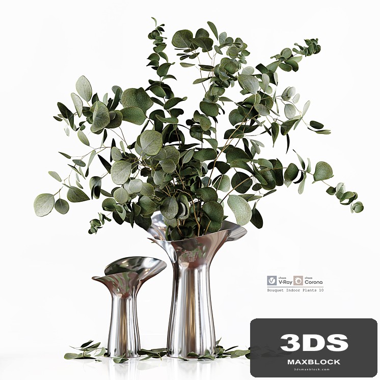 Bouquet Indoor Plants 10