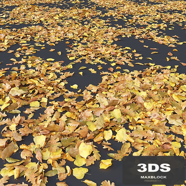Autumn leaves. yellow