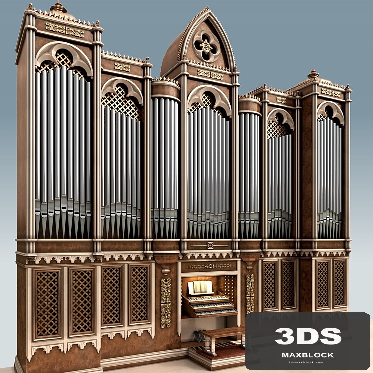 Organ