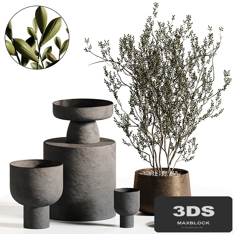 Plants Bouquet Vase 2