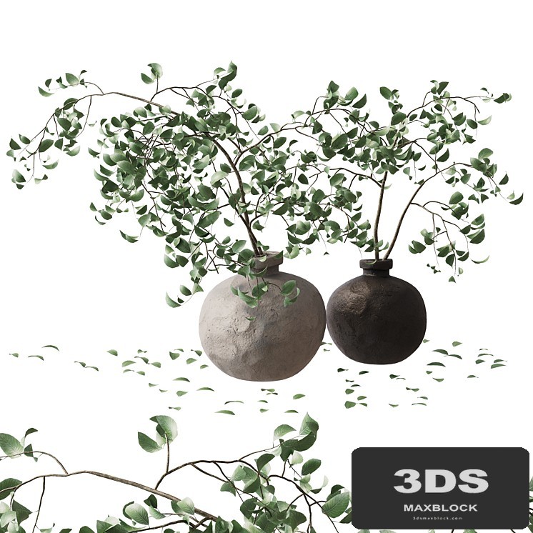 branches in a vase