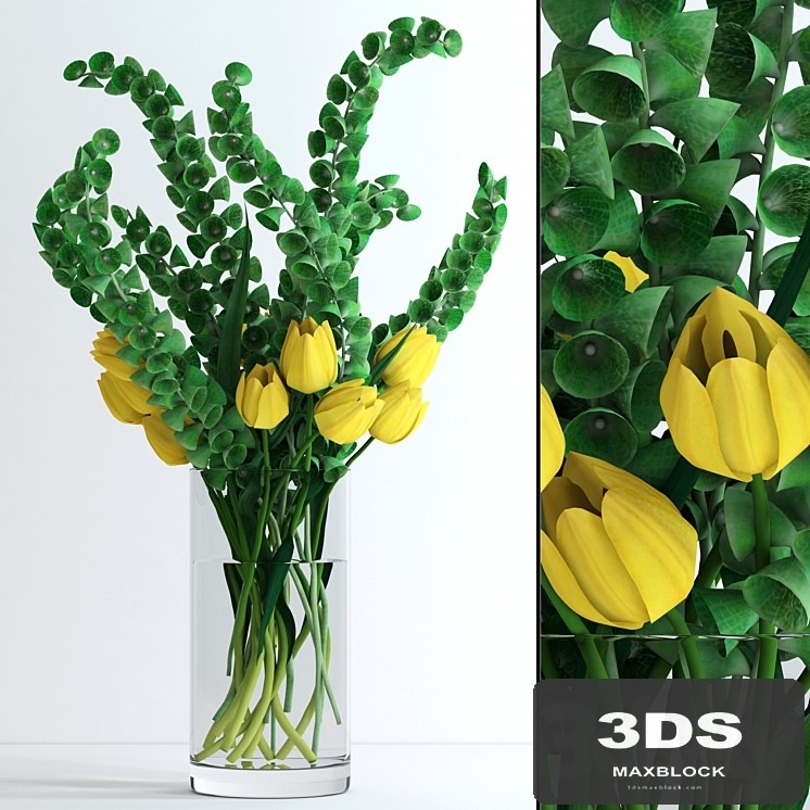 Yellow tulips and Moluccella