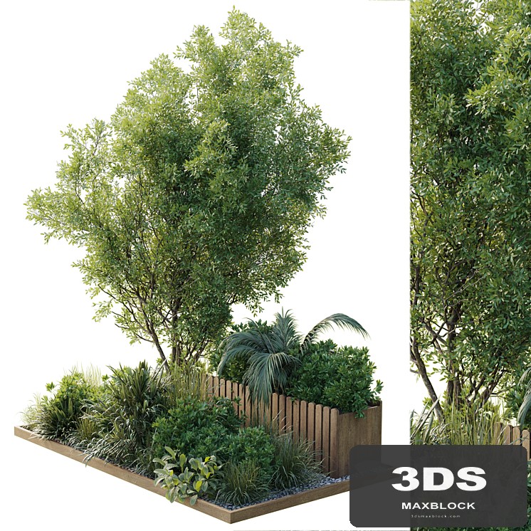 Garden plants box - Outdoor plants set 183