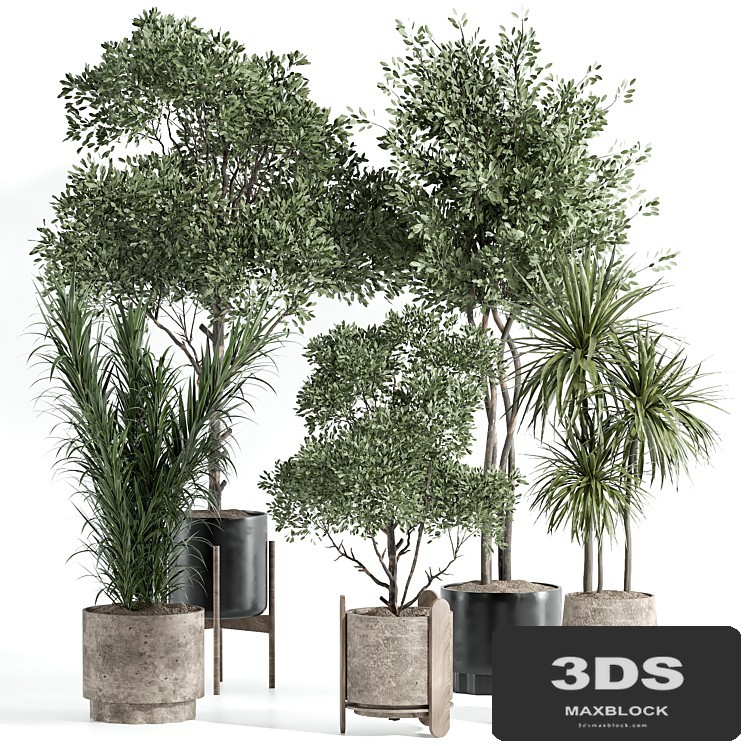 Indoor Plant Set 70