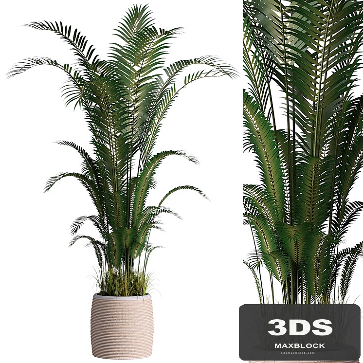 Indoor plant set 07