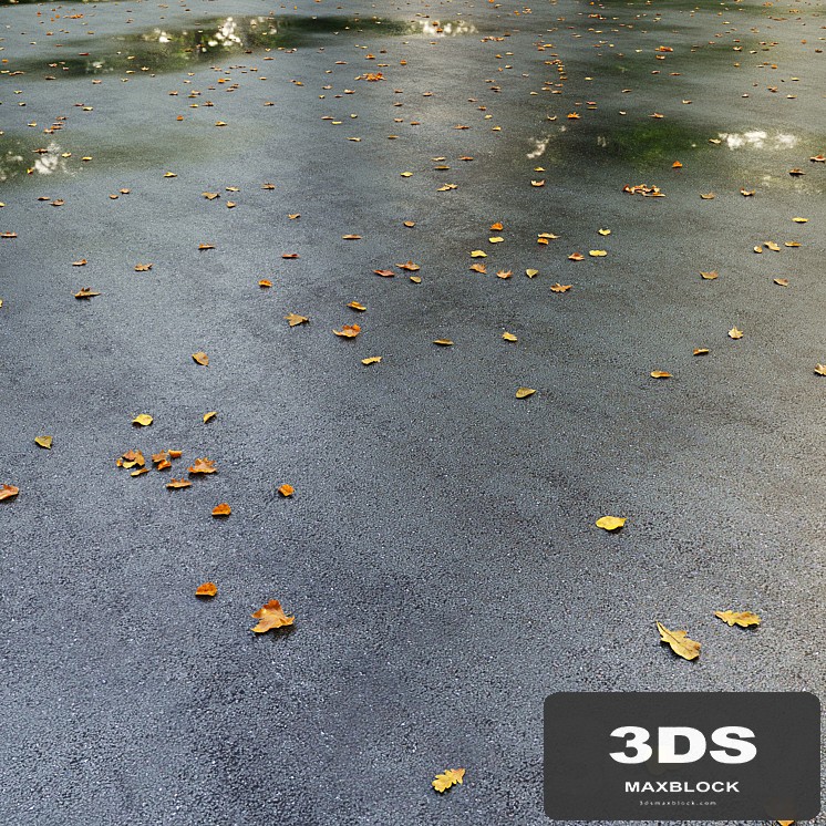Wet asphalt with leaves. Autumn. Editable