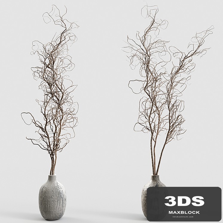 Branches in vases 30