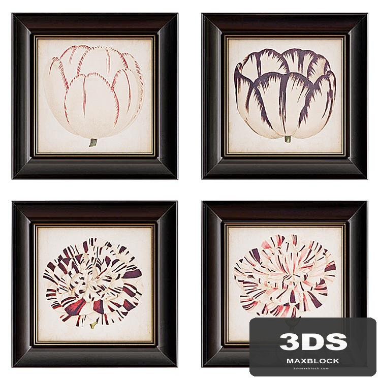 Pop Floral Framed Wall Art Collection