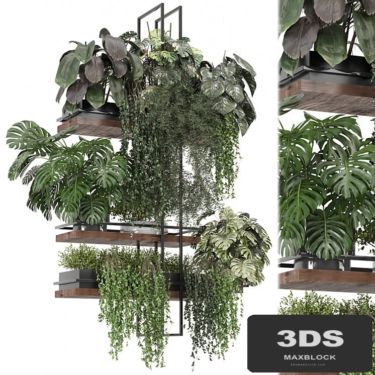 indoor plants in metal box _ Set hanging 1104