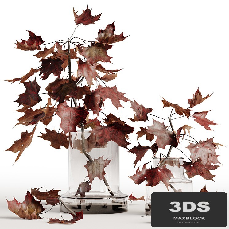Maple branches in a glass vase