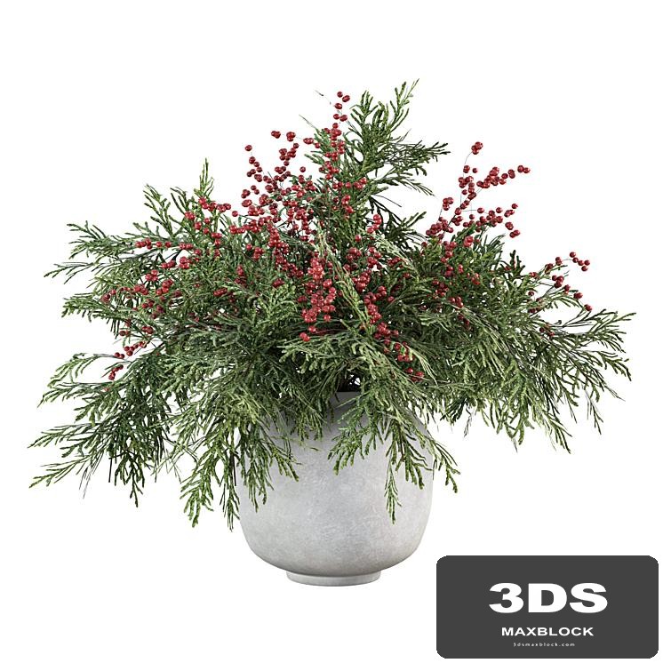 Bouquet Plants No.26