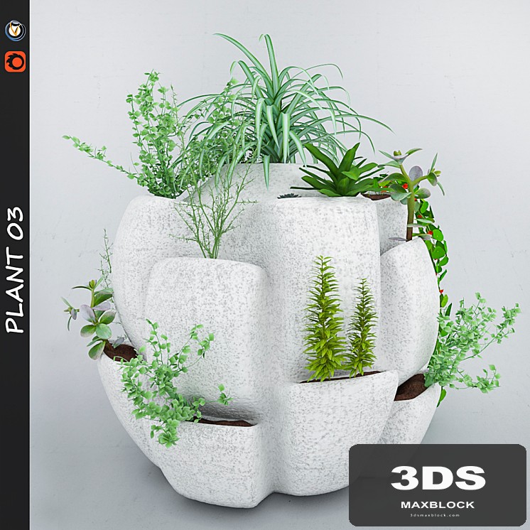 Plant 3